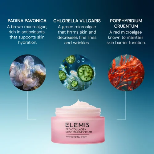 Pro-Collagen Rose Marine Cream 50ml Image 3